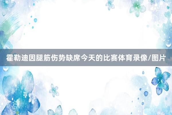 霍勒迪因腿筋伤势缺席今天的比赛体育录像/图片