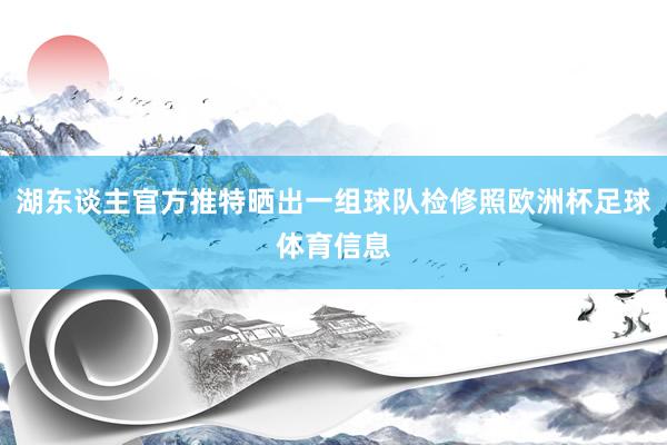 湖东谈主官方推特晒出一组球队检修照欧洲杯足球体育信息