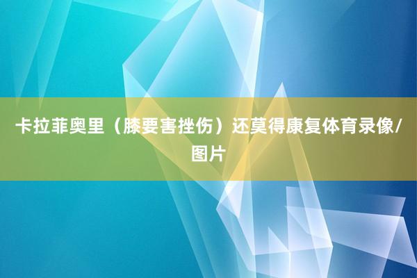 卡拉菲奥里（膝要害挫伤）还莫得康复体育录像/图片