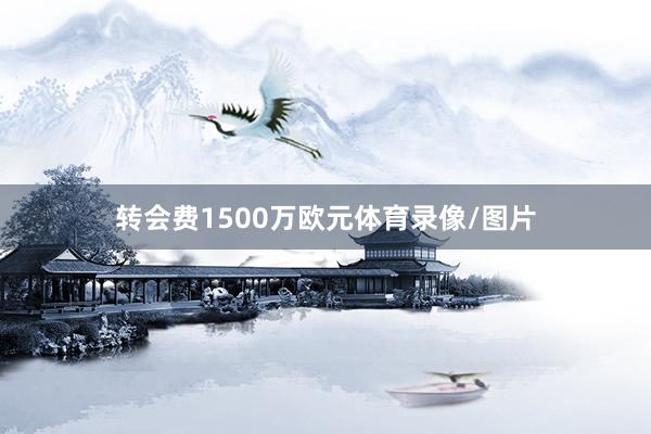 转会费1500万欧元体育录像/图片