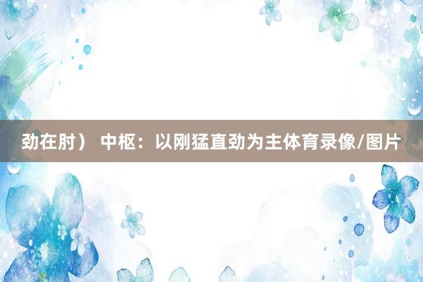 劲在肘） 中枢：以刚猛直劲为主体育录像/图片