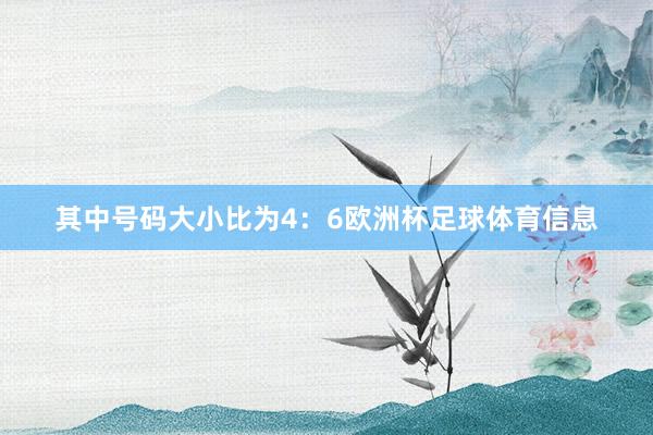 其中号码大小比为4：6欧洲杯足球体育信息
