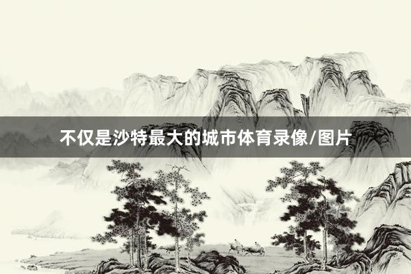 不仅是沙特最大的城市体育录像/图片