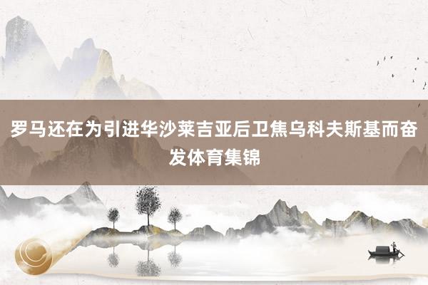 罗马还在为引进华沙莱吉亚后卫焦乌科夫斯基而奋发体育集锦