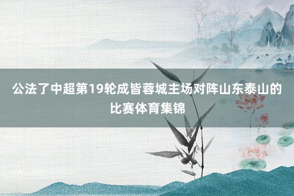 公法了中超第19轮成皆蓉城主场对阵山东泰山的比赛体育集锦