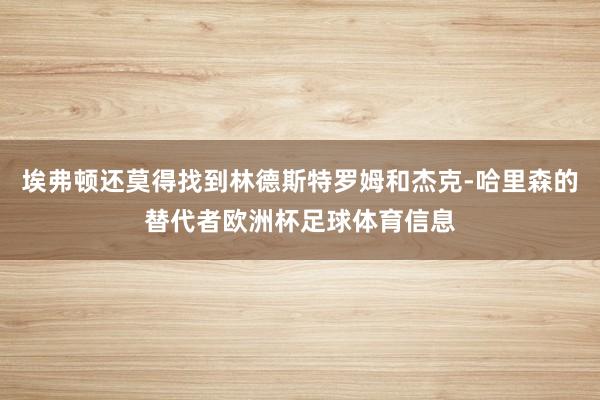 埃弗顿还莫得找到林德斯特罗姆和杰克-哈里森的替代者欧洲杯足球体育信息