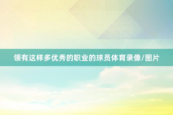 领有这样多优秀的职业的球员体育录像/图片
