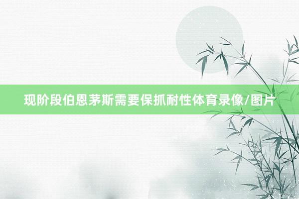 现阶段伯恩茅斯需要保抓耐性体育录像/图片