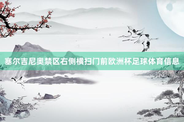 塞尔吉尼奥禁区右侧横扫门前欧洲杯足球体育信息