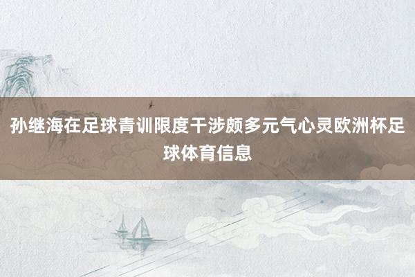 孙继海在足球青训限度干涉颇多元气心灵欧洲杯足球体育信息