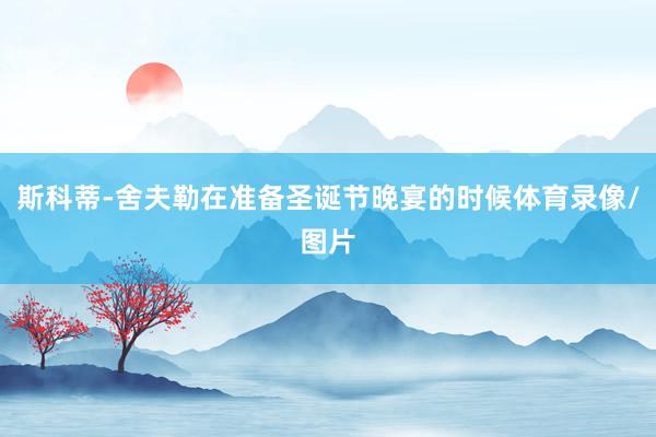 斯科蒂-舍夫勒在准备圣诞节晚宴的时候体育录像/图片