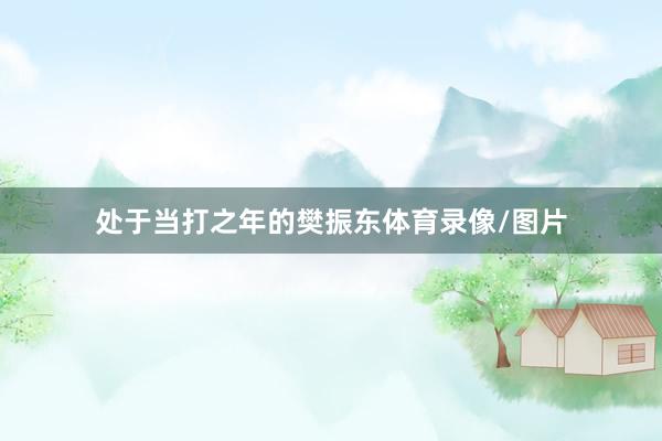 处于当打之年的樊振东体育录像/图片