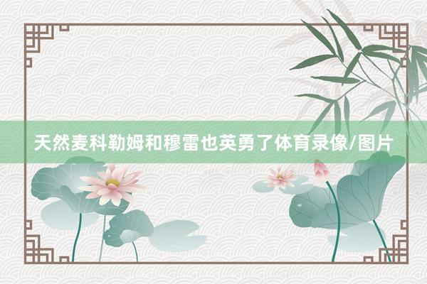 天然麦科勒姆和穆雷也英勇了体育录像/图片