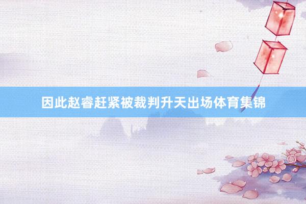 因此赵睿赶紧被裁判升天出场体育集锦
