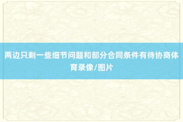 两边只剩一些细节问题和部分合同条件有待协商体育录像/图片