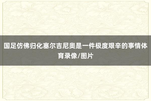 国足仿佛归化塞尔吉尼奥是一件极度艰辛的事情体育录像/图片