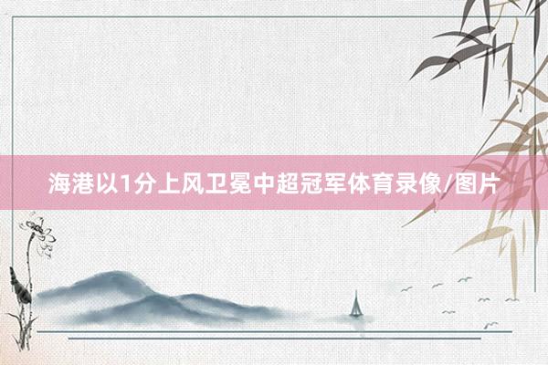 海港以1分上风卫冕中超冠军体育录像/图片