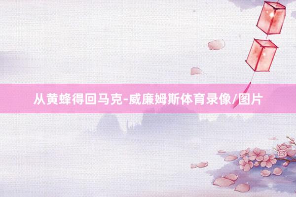 从黄蜂得回马克-威廉姆斯体育录像/图片