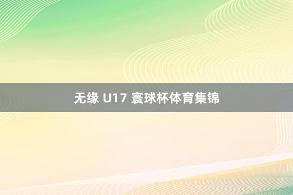 无缘 U17 寰球杯体育集锦
