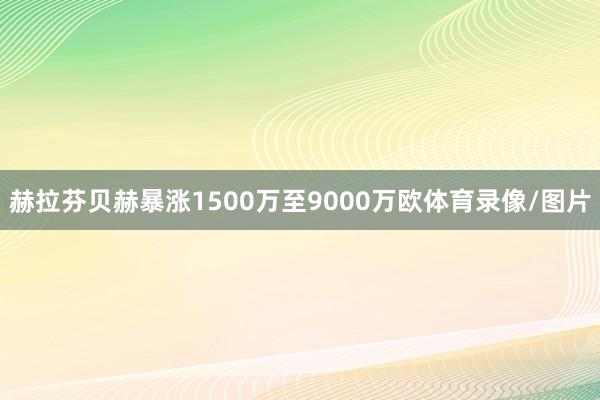 赫拉芬贝赫暴涨1500万至9000万欧体育录像/图片