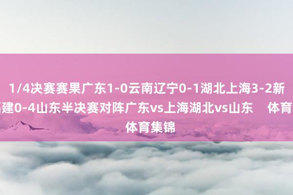 1/4决赛赛果广东1-0云南辽宁0-1湖北上海3-2新疆福建0-4山东半决赛对阵广东vs上海湖北vs山东 体育集锦