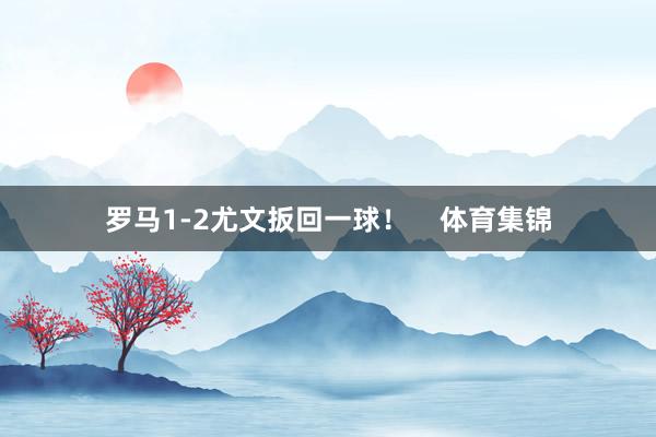 罗马1-2尤文扳回一球！    体育集锦