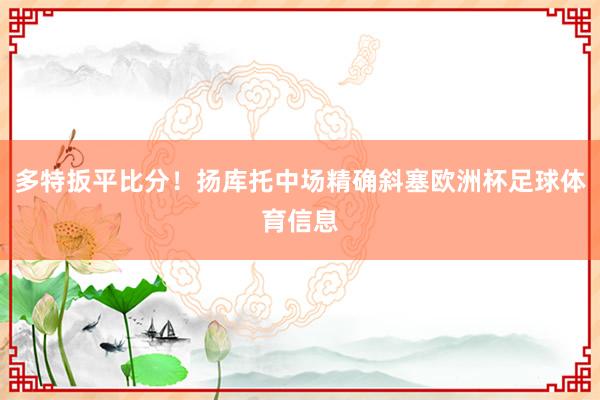 多特扳平比分！扬库托中场精确斜塞欧洲杯足球体育信息
